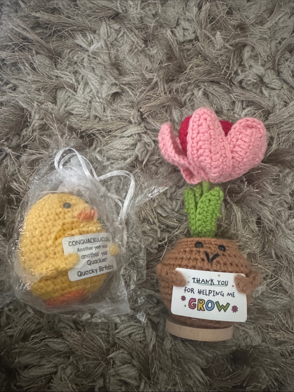 Handmade Crochet Flower Pot Plush - Pink & Green